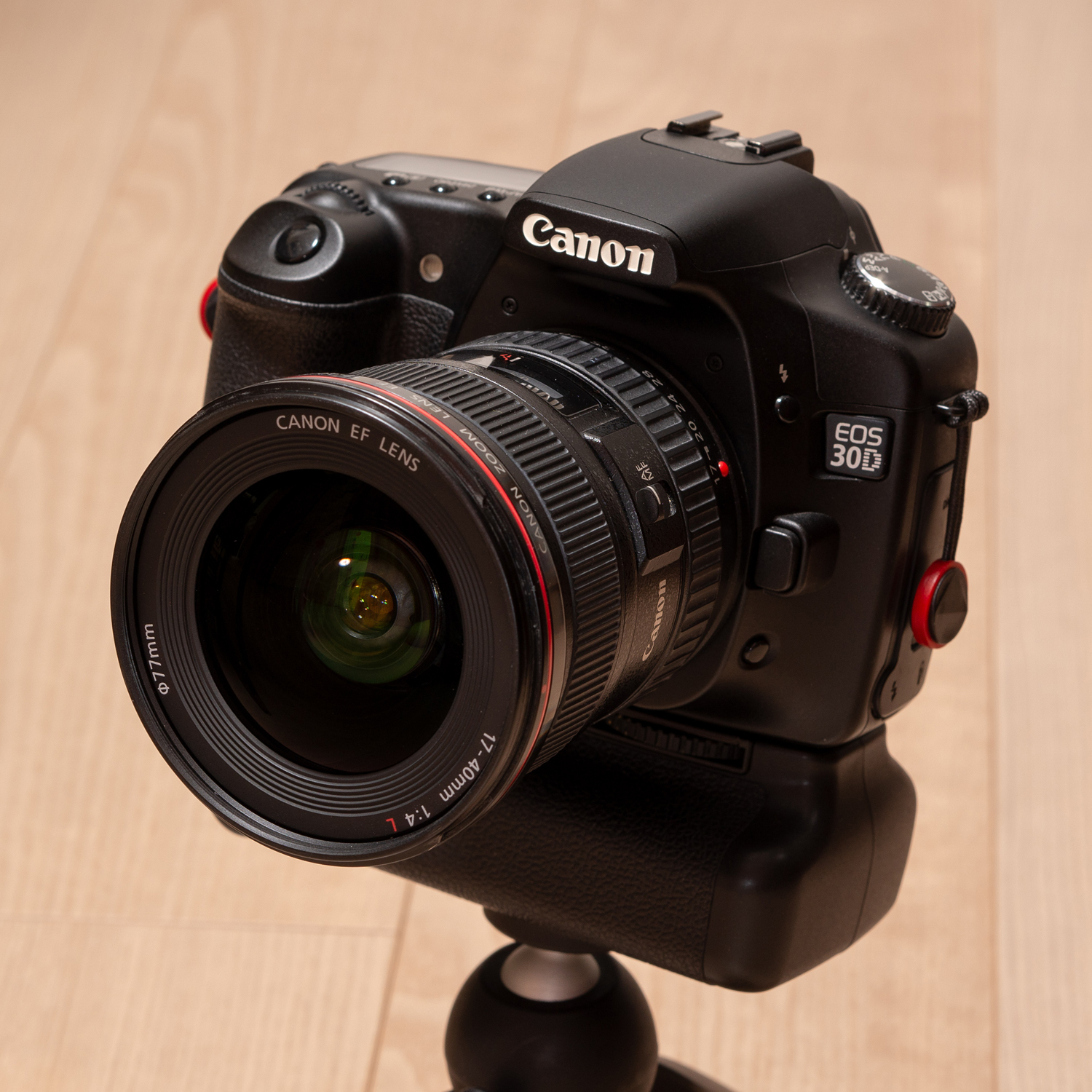 Canon EOS30D －フィルムを通せば
